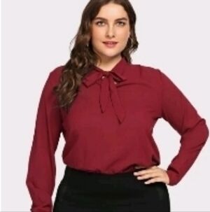SHEIN Red Blouse